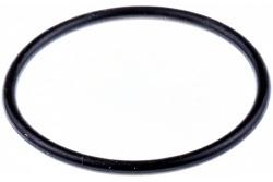 Seal, 700mm