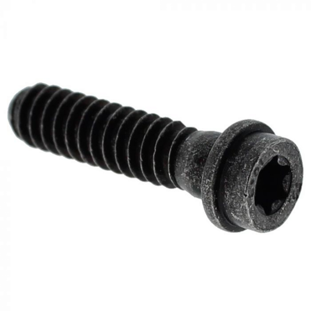 Screw 5257981-03