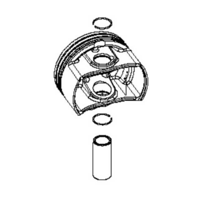 Piston Assy