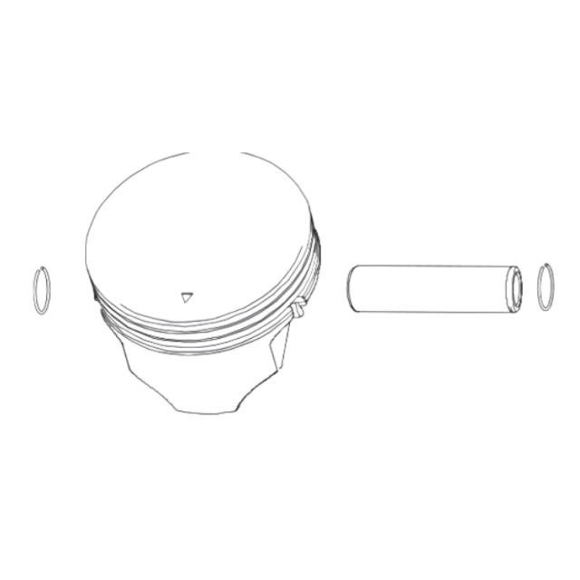 Piston Assy 5311476-98