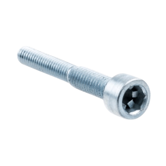 Screw