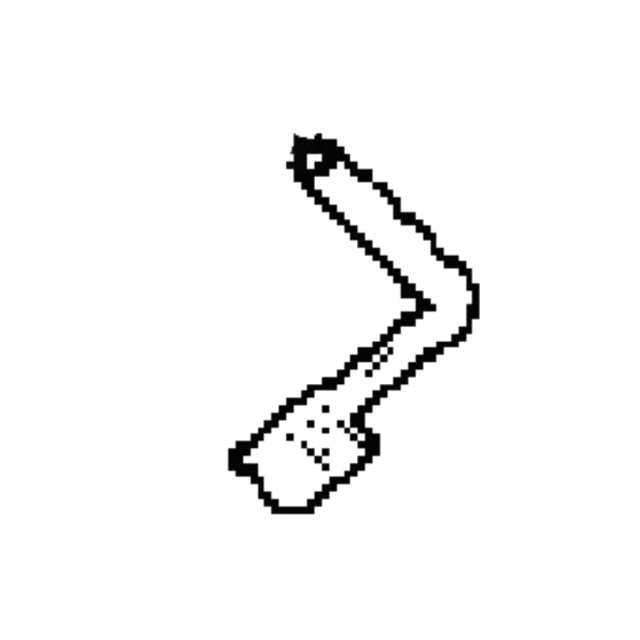 Arm