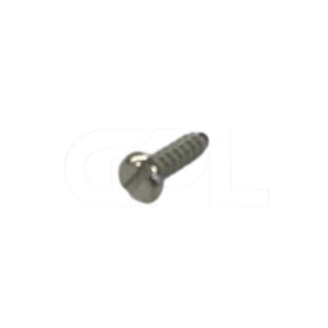 Screw