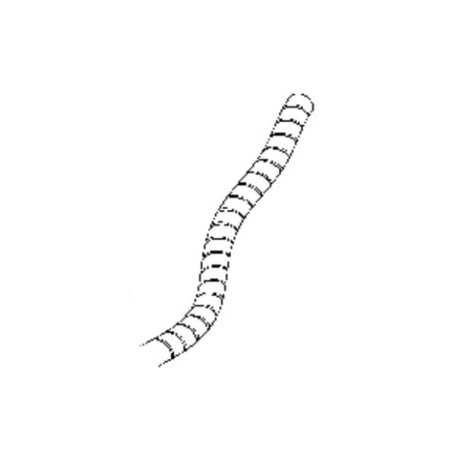 Hose protection