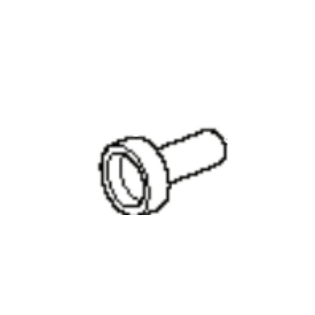 Ferrule