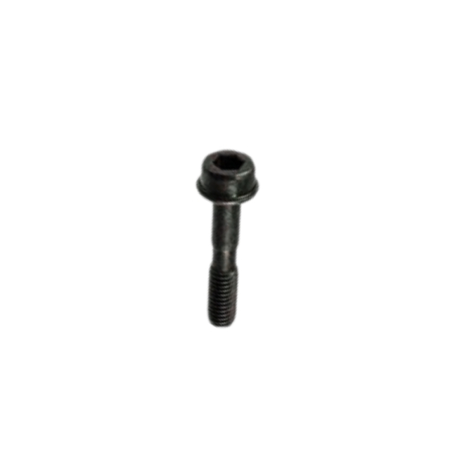 Screw Ihscfmo 5739943-01
