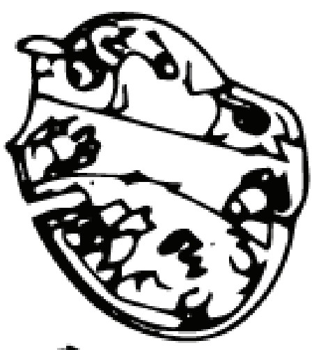 Switchbox Lower (Euro 5746268-01