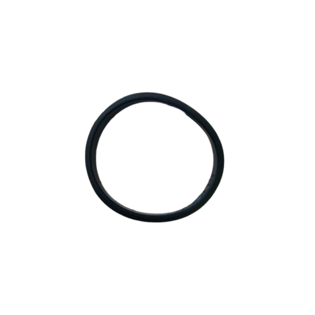 Sealing ring 5762237-01