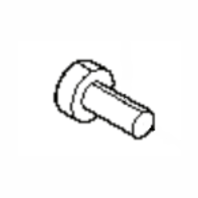 Screw 5769854-01