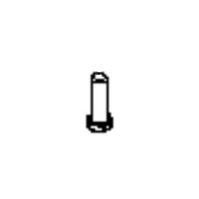 Screw 5770948-01