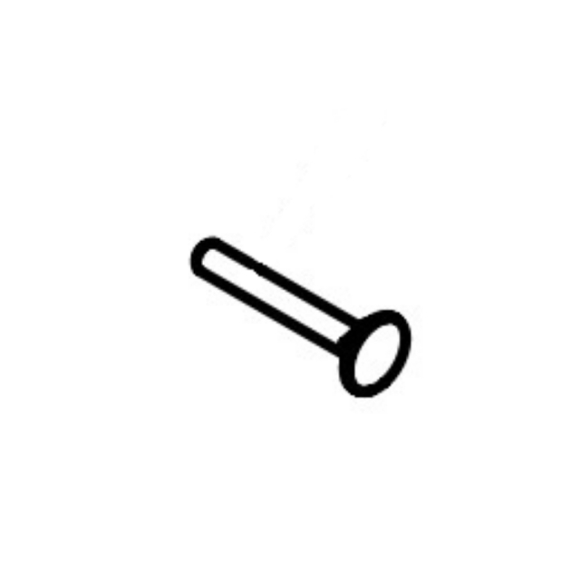 Screw 5774538-01