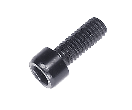 Screw