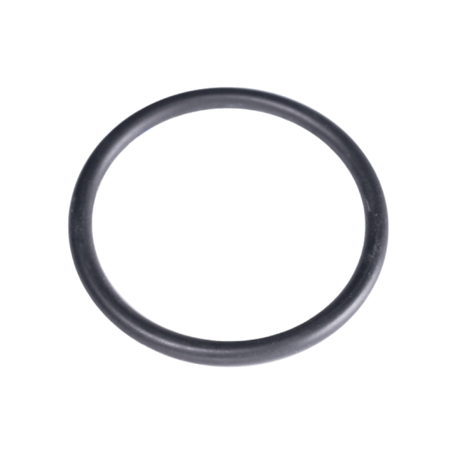 O-Ring 5784703-01