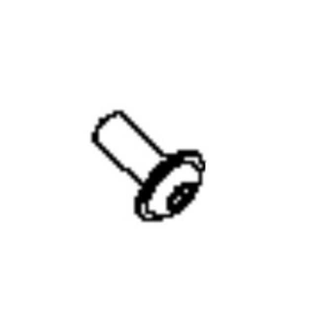 Screw 5798615-01