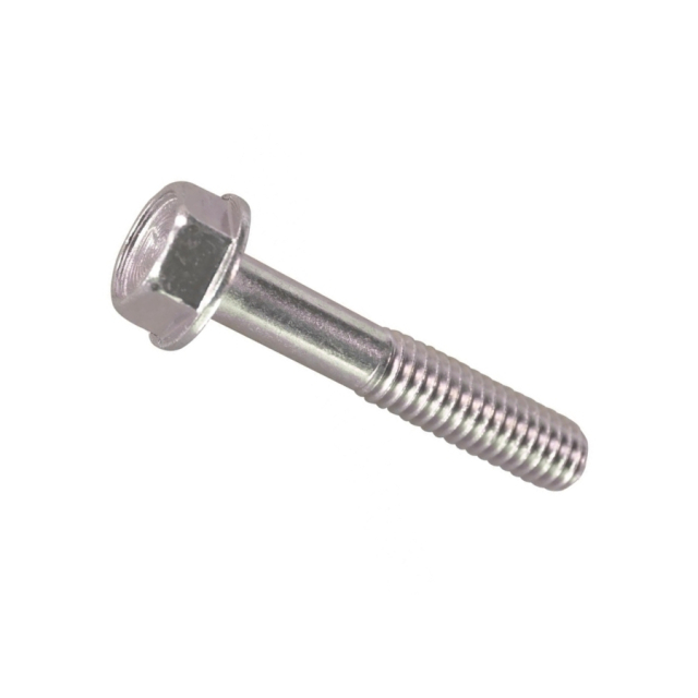 Screw