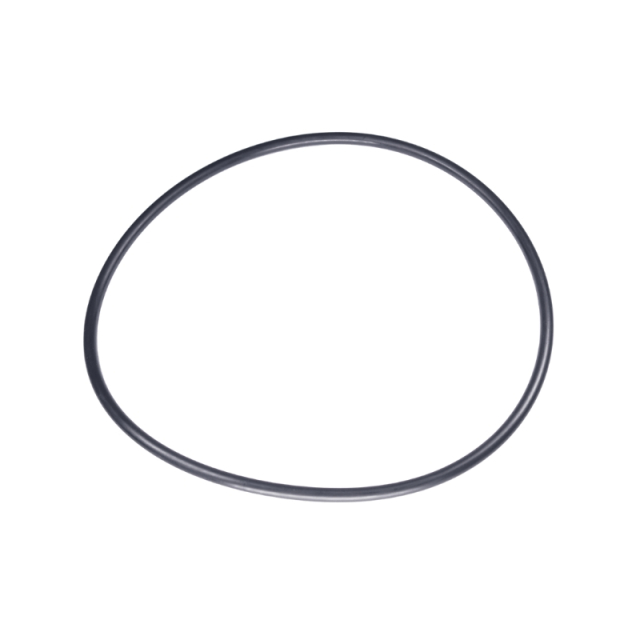 O-Ring 160X5.5 5885243-01