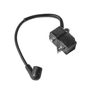 Ignition module 5973834-01