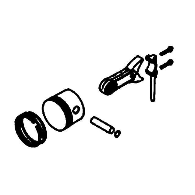 Piston Kit 5975047-01