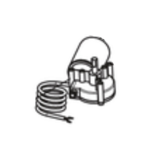 Motor electric motor