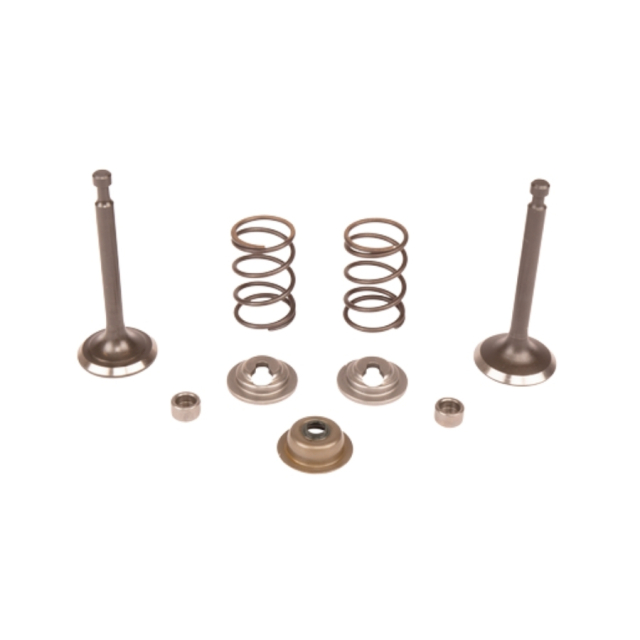 Valve Kit 5993492-45