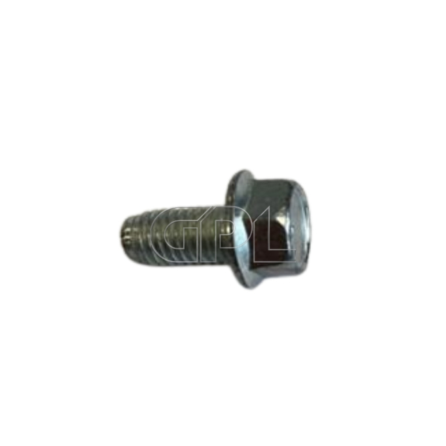 Screw