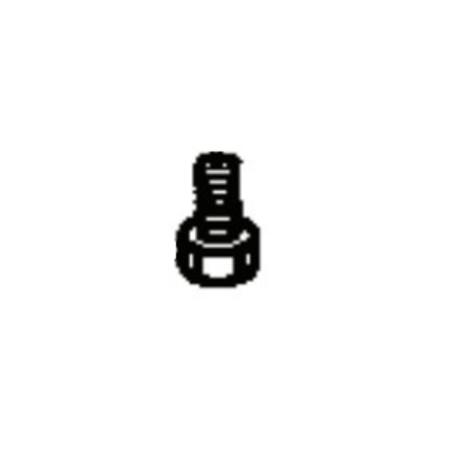 Screw