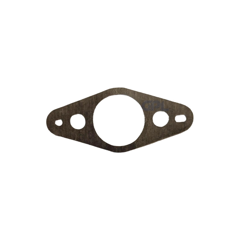 Gasket 5011693-01
