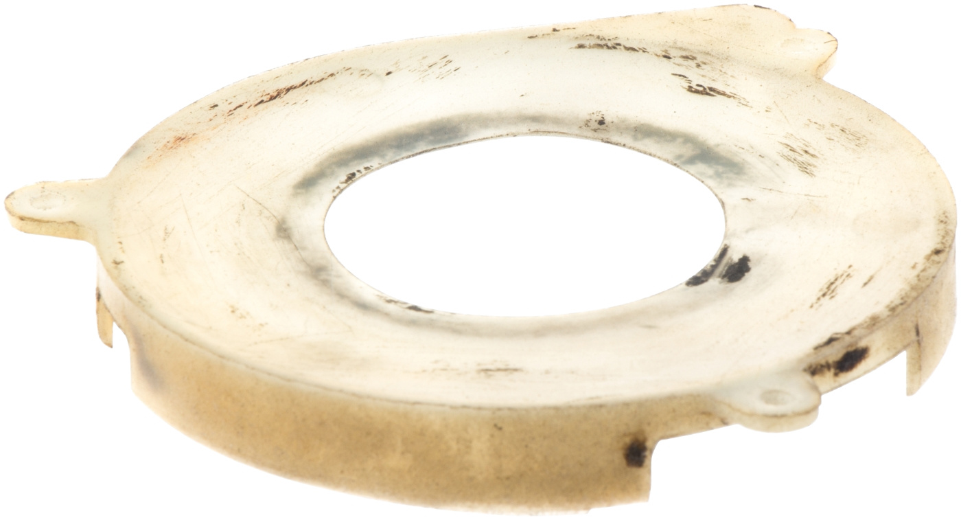 Protection Ring 5015530-01