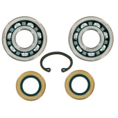 Kit Bearing And Gasket 5018562-01 Kit Bearing And Gasket 5018562-01