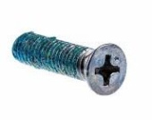 Screw Screw