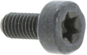 Screw Torx D10, M5X10.5 Screw Torx D10, M5X10.5