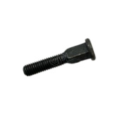 Screw Screw