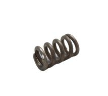Spring 5042100-50