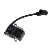 Ignition module Ignition module