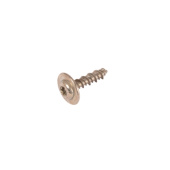 Screw Screw