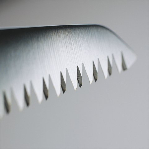 Straight Pruning Saw 300mm