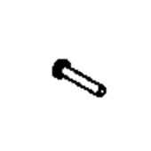 Screw Screw
