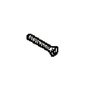 Screw Screw