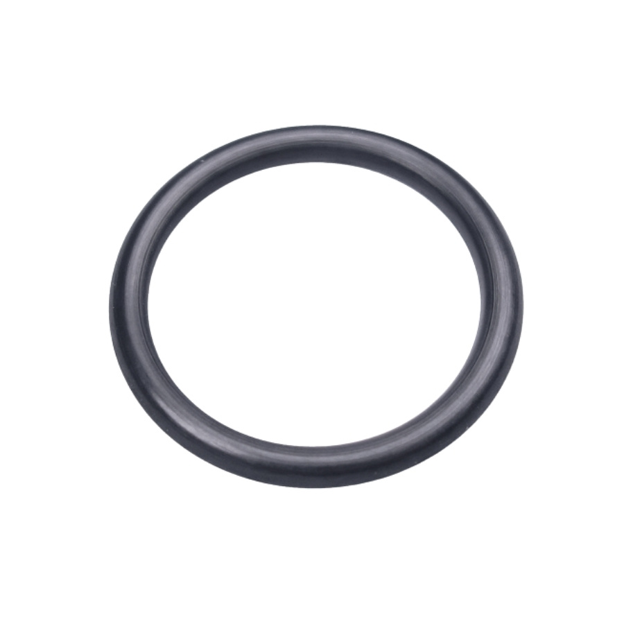 O-Ring 16.9X2.7 5203387-01