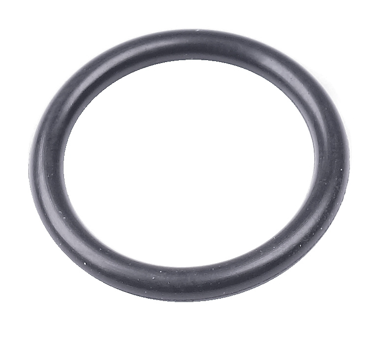 O-Ring 18.72X2.62 5203403-01