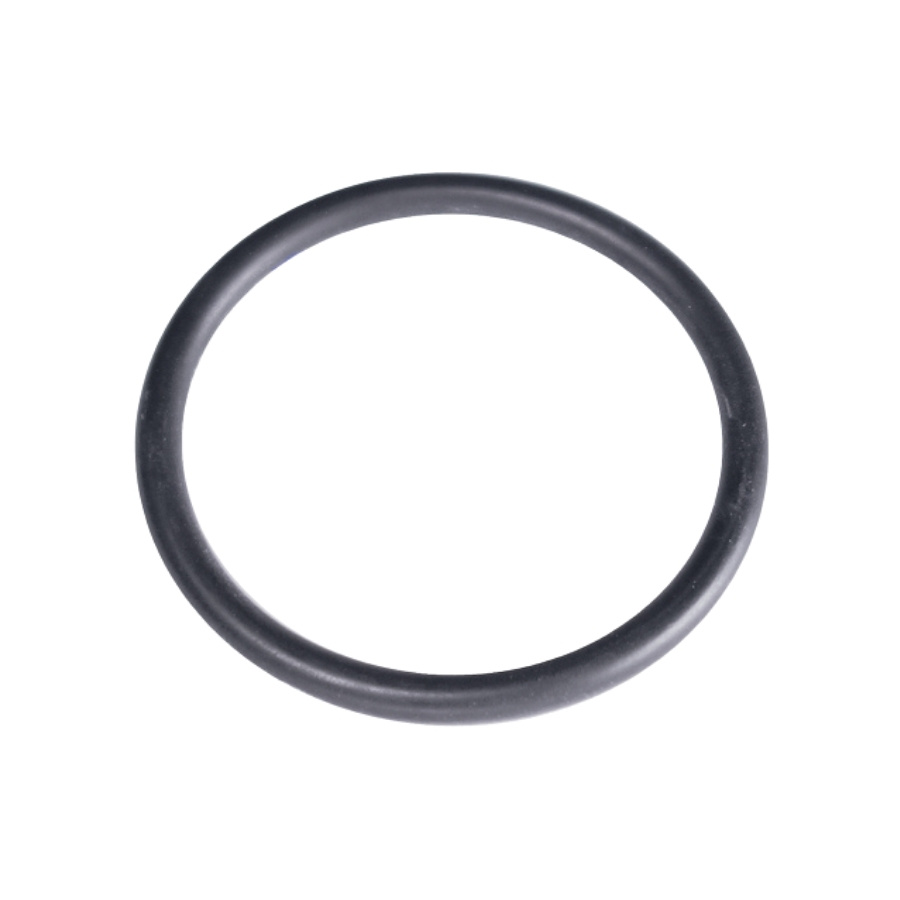 O-Ring 1 5204065-01