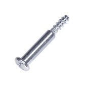 Screw Screw
