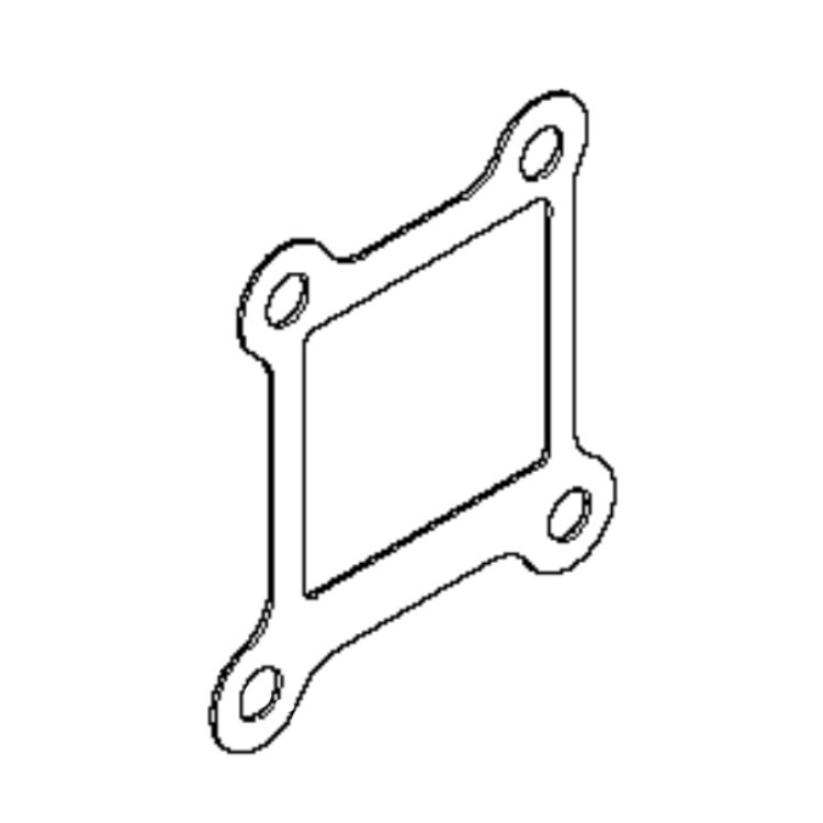 Gasket 5216346-01