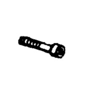 Screw Screw
