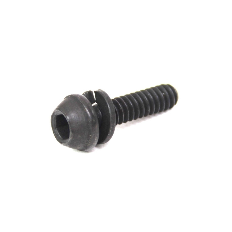 Screw 5300163-12