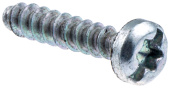 Screw Screw