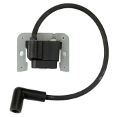 Ignition module Ignition module