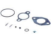 Carburetor Repair Kit 5310296-08 Carburetor Repair Kit 5310296-08