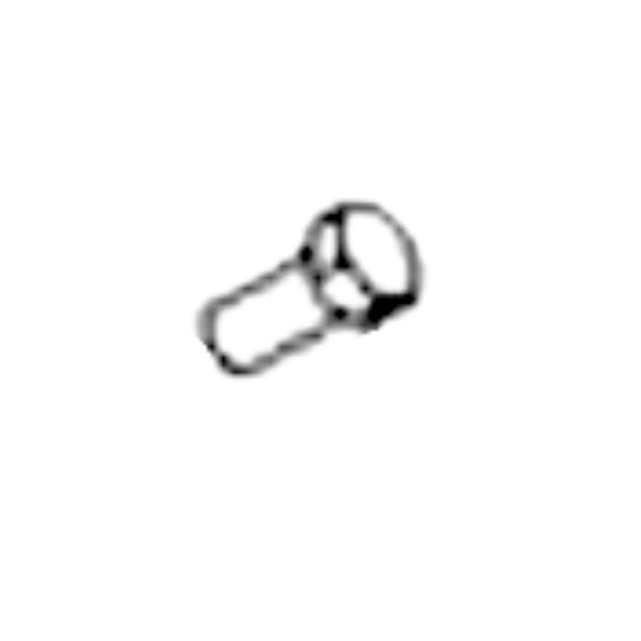 Bolt 5399902-06