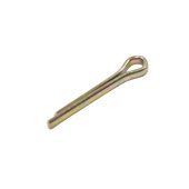 Pin Pin